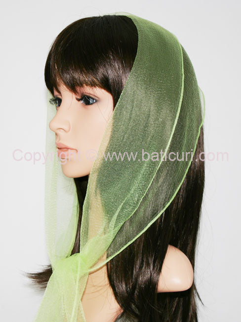 18-45 (N) | Oblong Solid | Bright Green | зелёный | Verde deschis 9''x50''